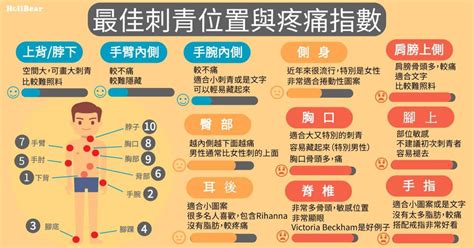 肚子刺青小圖|如何選擇刺青位置？位置特性與疼痛指數【數據圖表】。